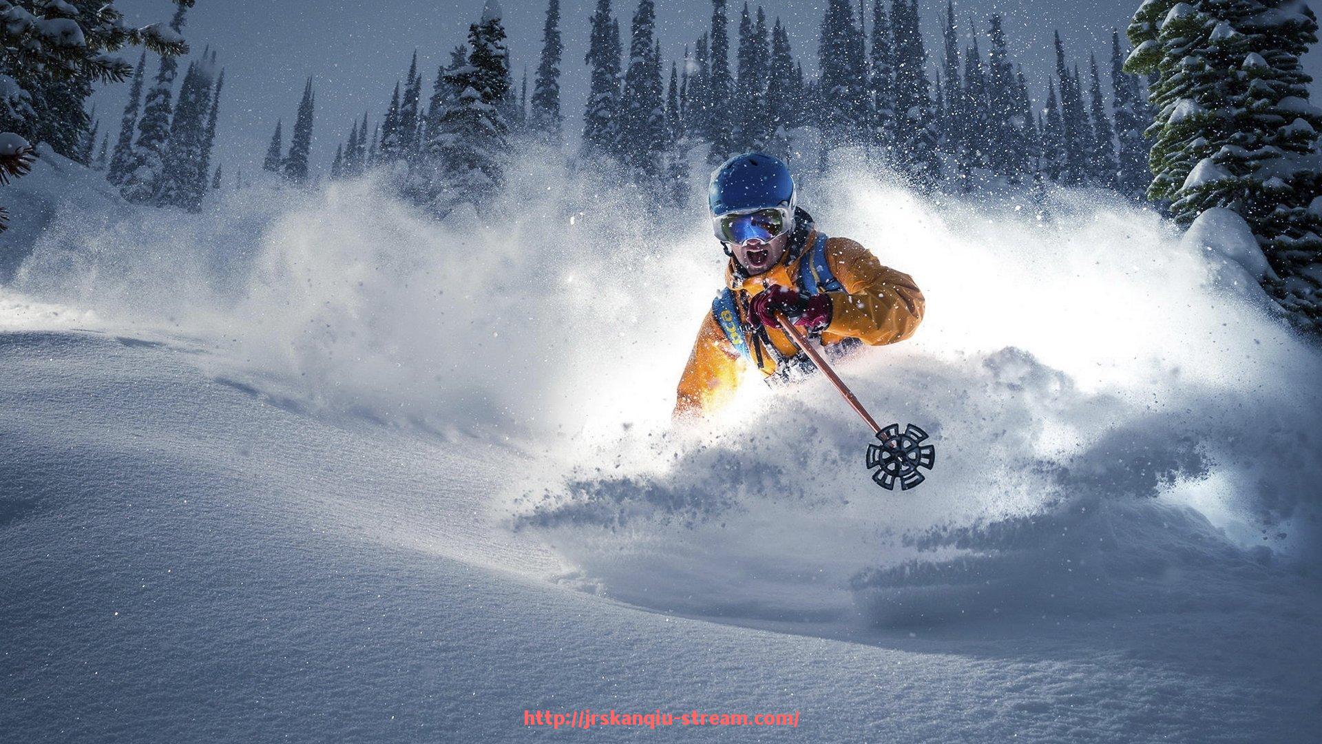 JRS低调看球-世俱杯球迷安全联动赛事整体安全保障机制构建与实施路径